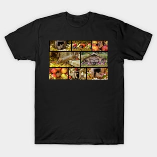 George the mouse in a log pile house - mixed images T-Shirt